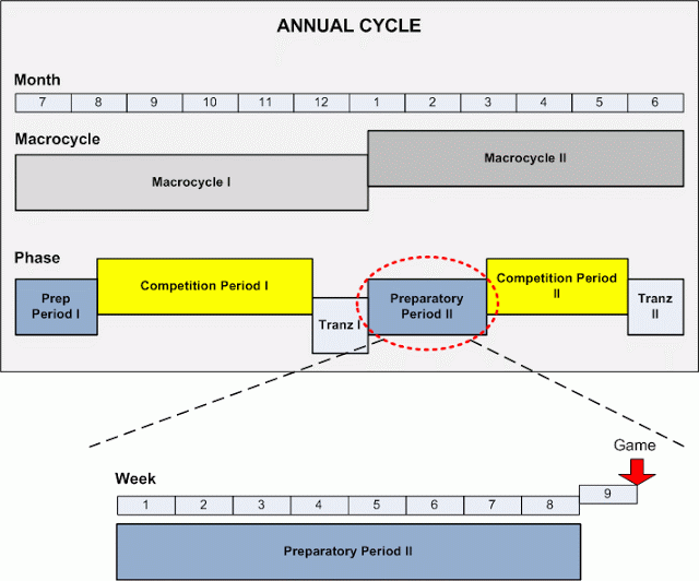 annual cycle