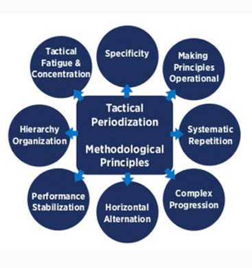 tactical-periodization-screen-shot