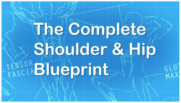 Shoulder and Hip Blueprint