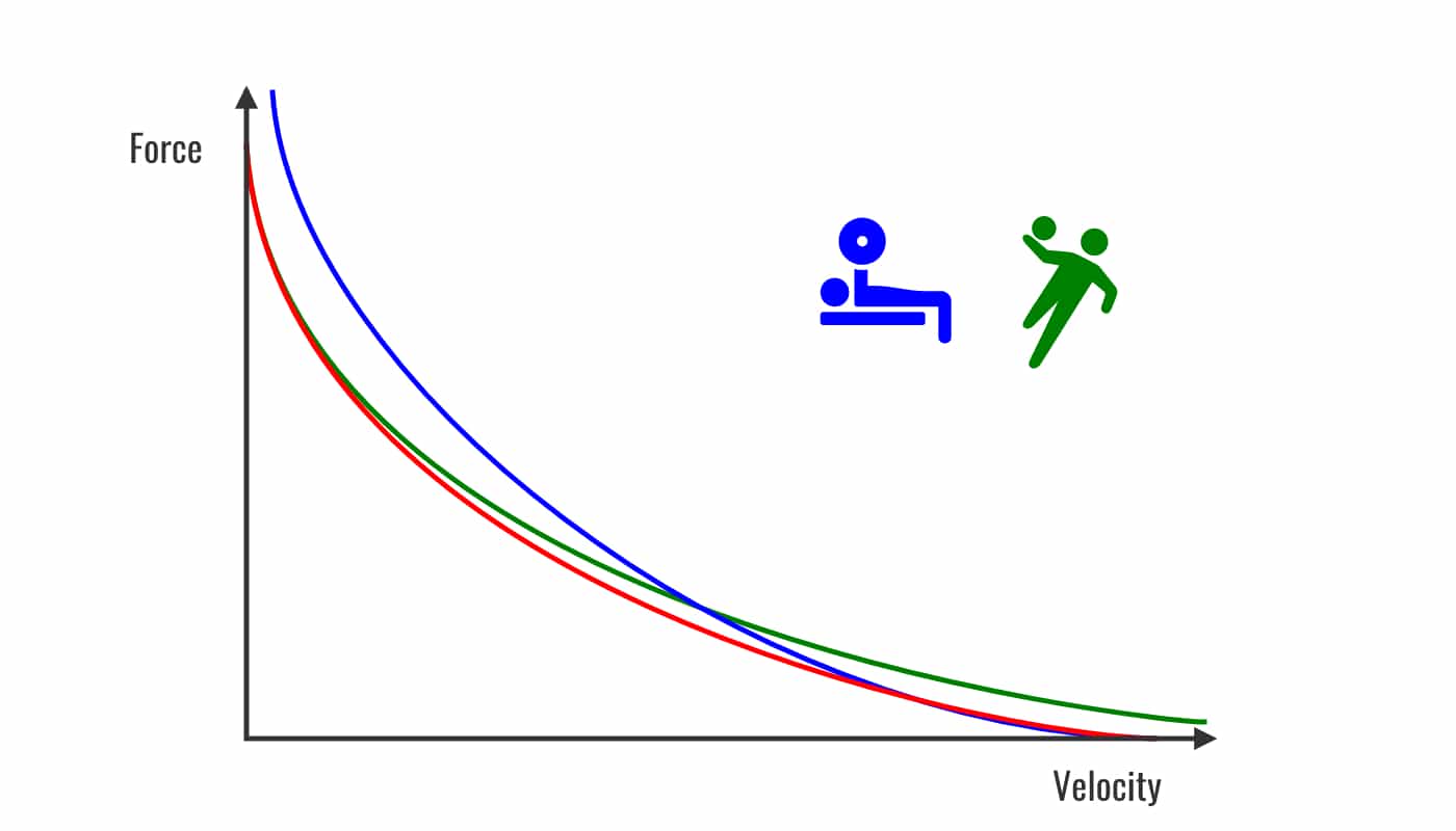 Force-velocity-curve