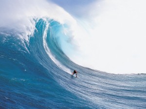 Riding the wave [Random thoughts]