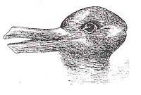 200px-Duck-Rabbit_illusion