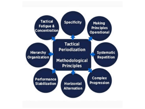 Tactical Periodization: Interview With Two of My Colleagues