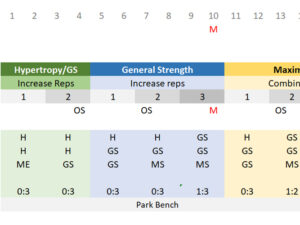 Planning and Programming Strength Training Using DUP Approach