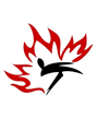 taekwondo-canada-logo