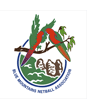 blue-mountains-netball-association-logo