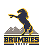 brumbies-rugby-logo