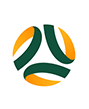 football-federation-australia-logo