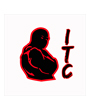 iconz-training-centre-logo