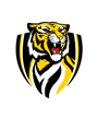 richmond-tigers-logo