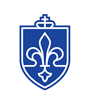 saint-lous-university-logo