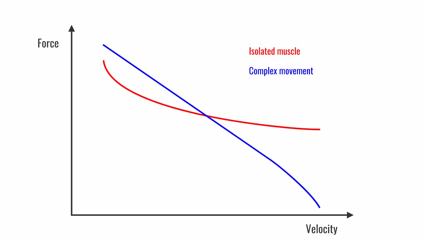 Force-velocity-curve-2