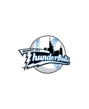 thunderbolts - logo