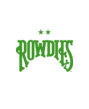 Tampa Bay Rowdies - logo