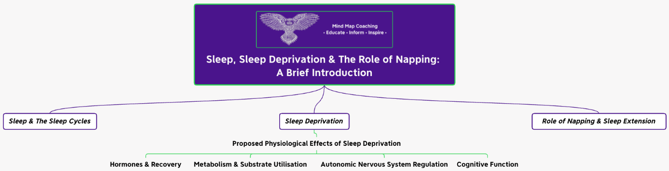 Sueño, privación del sueño y el papel de la siesta: una breve introducción